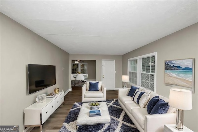 living room with dark hardwood / wood-style flooring