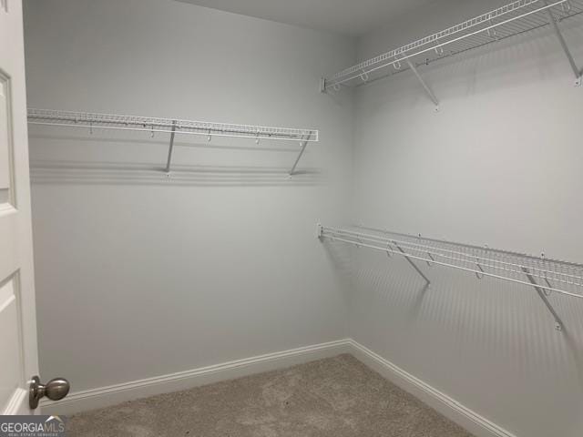 walk in closet featuring carpet