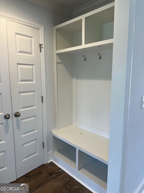 mudroom featuring dark wood-type flooring