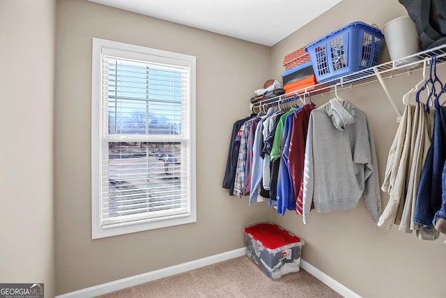 walk in closet with carpet flooring