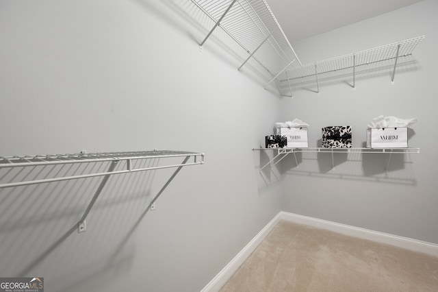 spacious closet featuring light colored carpet