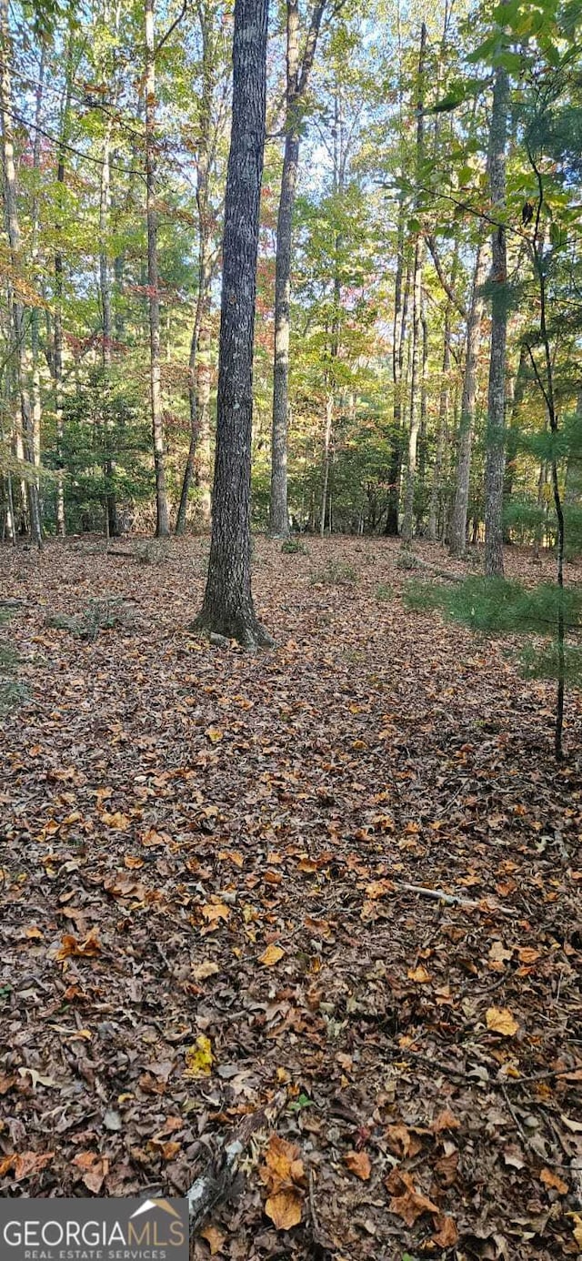 Listing photo 3 for 5 Goldmine Rd Lot 5, Morganton GA 30560