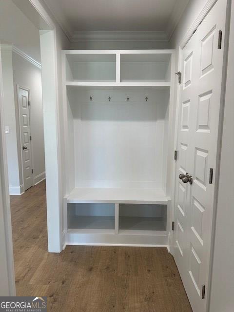 mudroom featuring crown molding and dark hardwood / wood-style flooring