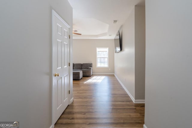 hallway featuring dark hardwood / wood-style floors and a tray ceiling