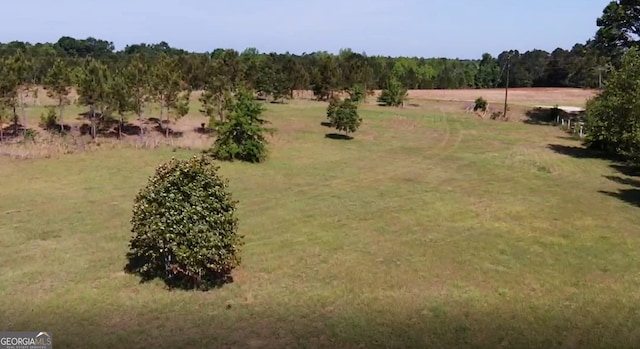 231 Canady Bridge Rd, Twin City, GA 30471 - view of green lawn with a view of rural / pastoral area and a forest view
