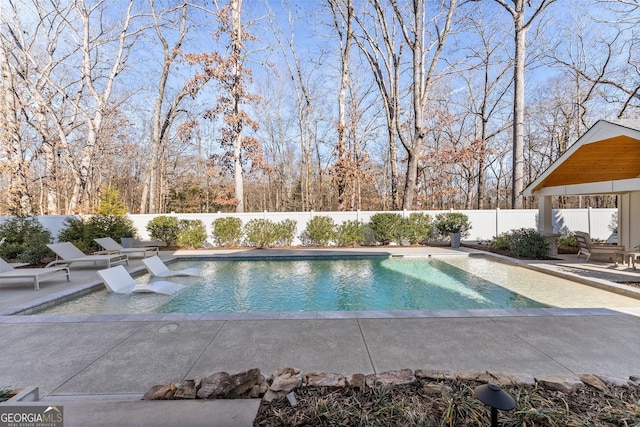 view of swimming pool with a patio