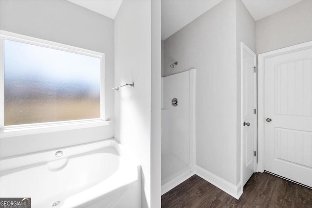 bathroom with plus walk in shower and wood-type flooring