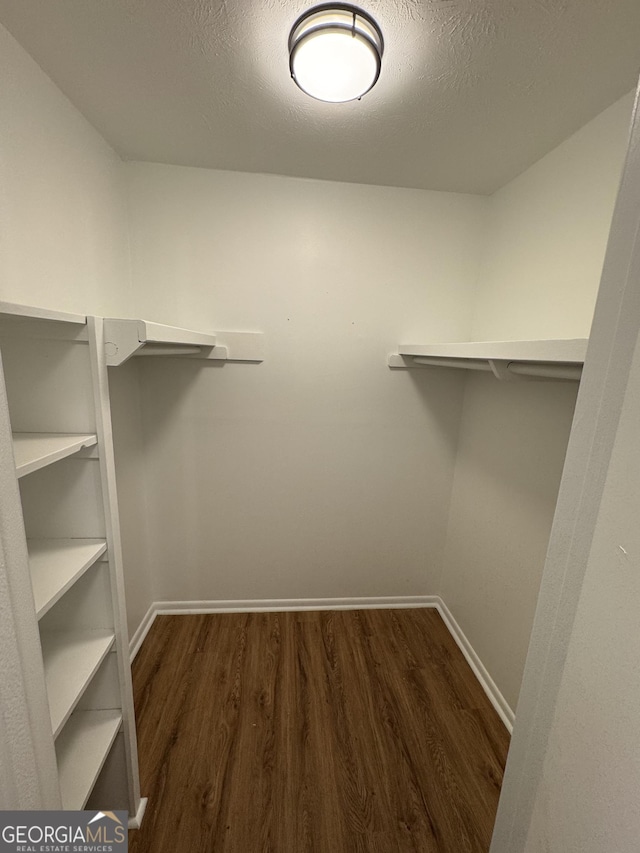 spacious closet with dark wood-type flooring