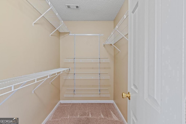 spacious closet featuring carpet flooring