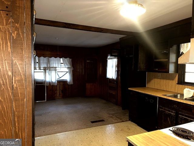 kitchen with sink, black dishwasher, a wealth of natural light, and wooden walls