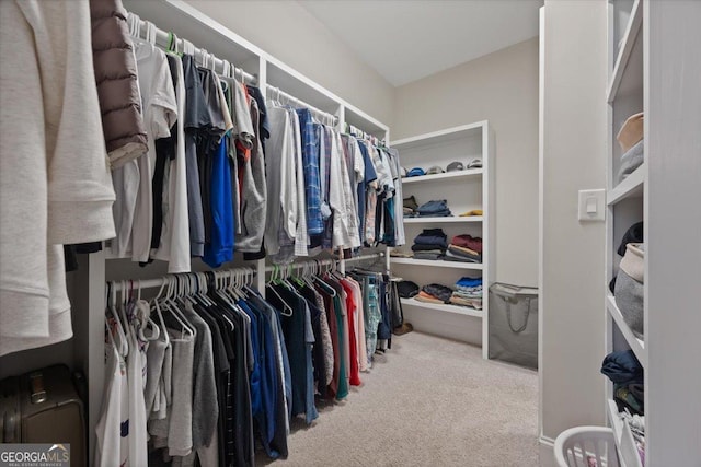 walk in closet with carpet flooring