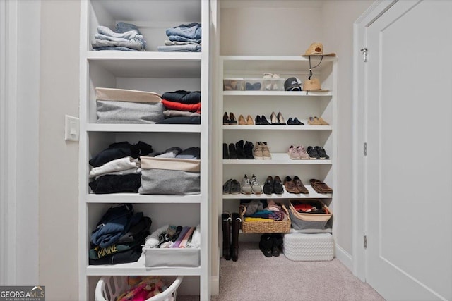 spacious closet featuring carpet floors