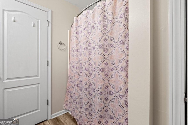 bathroom featuring hardwood / wood-style floors