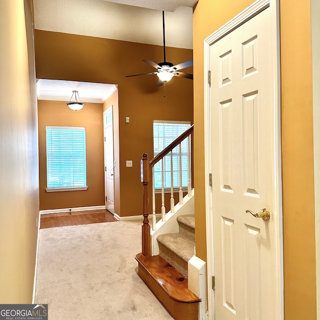 carpeted entrance foyer featuring ornamental molding and ceiling fan