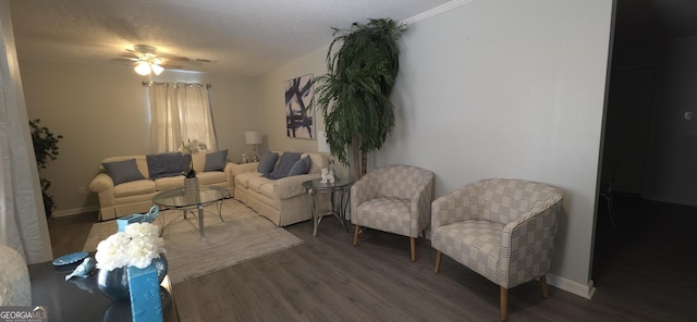 living room with dark hardwood / wood-style flooring and a textured ceiling