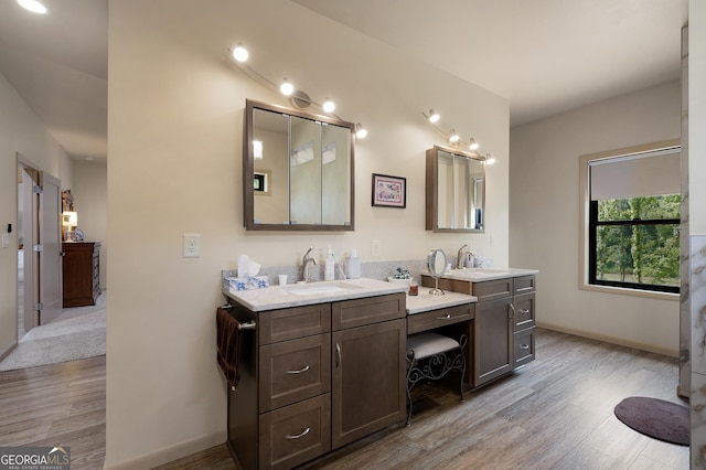 bathroom with hardwood / wood-style flooring and vanity