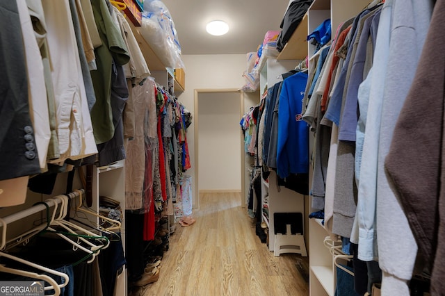 spacious closet featuring wood-type flooring