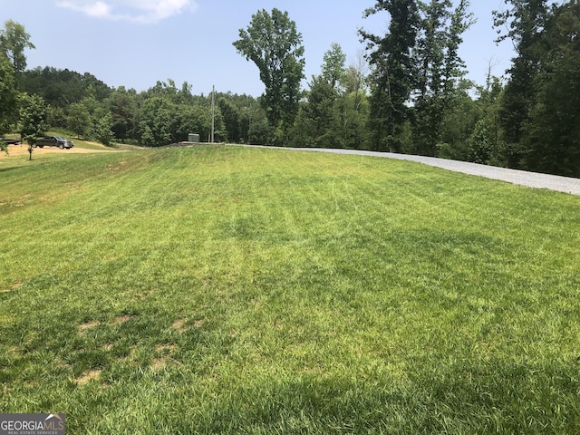 1581 Taylor Town Rd NE, Ranger, GA 30734 - view of green lawn featuring a forest view