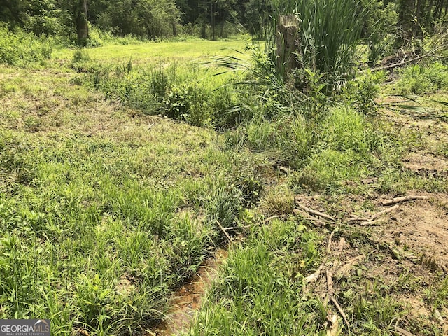 1581 Taylor Town Rd NE, Ranger, GA 30734 - view of nature