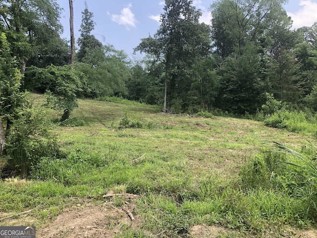 1581 Taylor Town Rd NE, Ranger, GA 30734 - view of woods