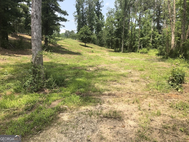 1581 Taylor Town Rd NE, Ranger, GA 30734 - view of local wilderness