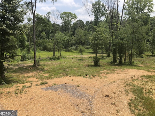 1581 Taylor Town Rd NE, Ranger, GA 30734 - view of nature