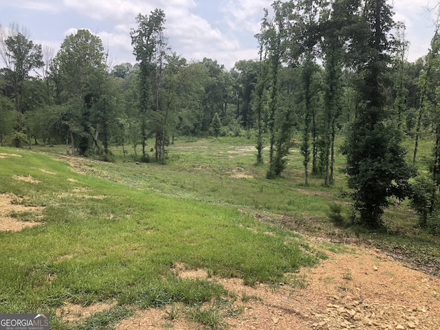 1581 Taylor Town Rd NE, Ranger, GA 30734 - view of undeveloped land