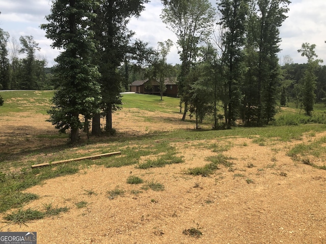 1581 Taylor Town Rd NE, Ranger, GA 30734 - view of undeveloped land