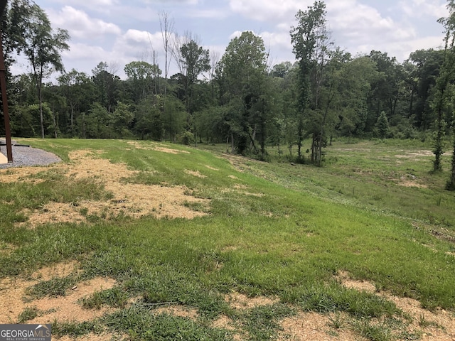 1581 Taylor Town Rd NE, Ranger, GA 30734 - view of yard