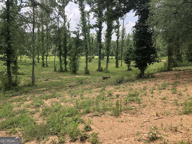 1581 Taylor Town Rd NE, Ranger, GA 30734 - view of local wilderness
