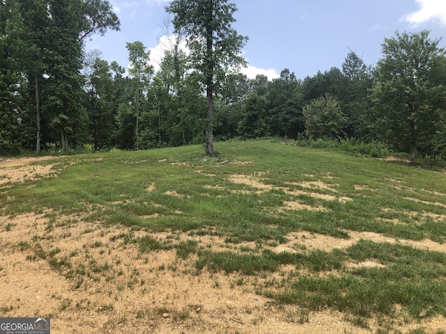 1581 Taylor Town Rd NE, Ranger, GA 30734 - view of green lawn featuring a view of trees