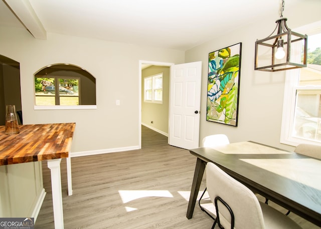 dining space with a healthy amount of sunlight, baseboards, and wood finished floors