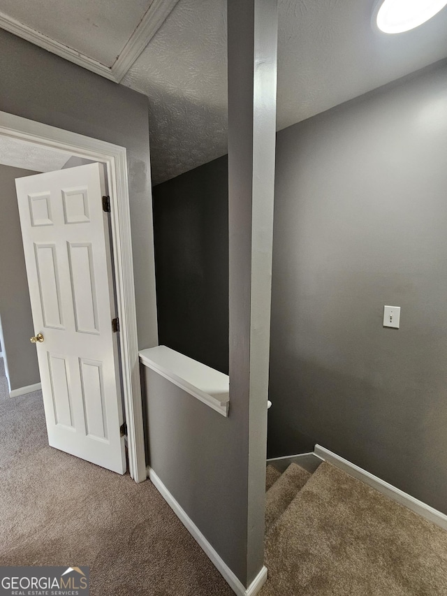 staircase with carpet floors and a textured ceiling