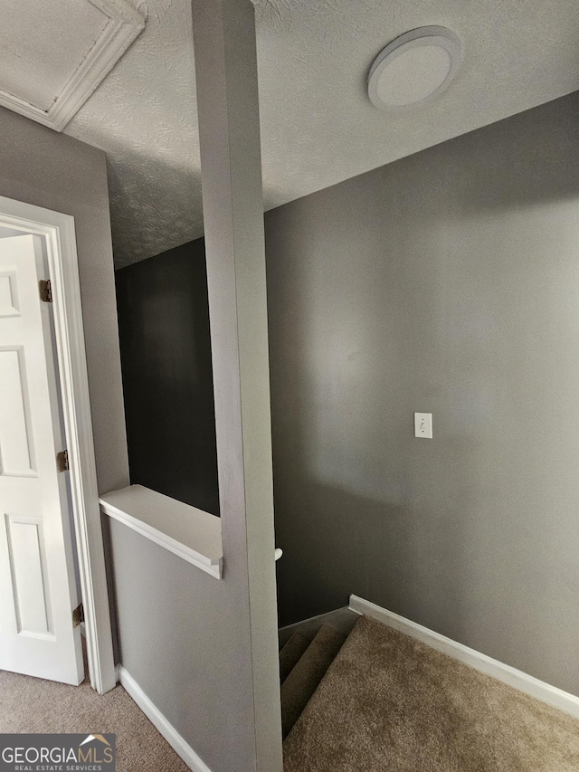 stairway featuring a textured ceiling and carpet flooring