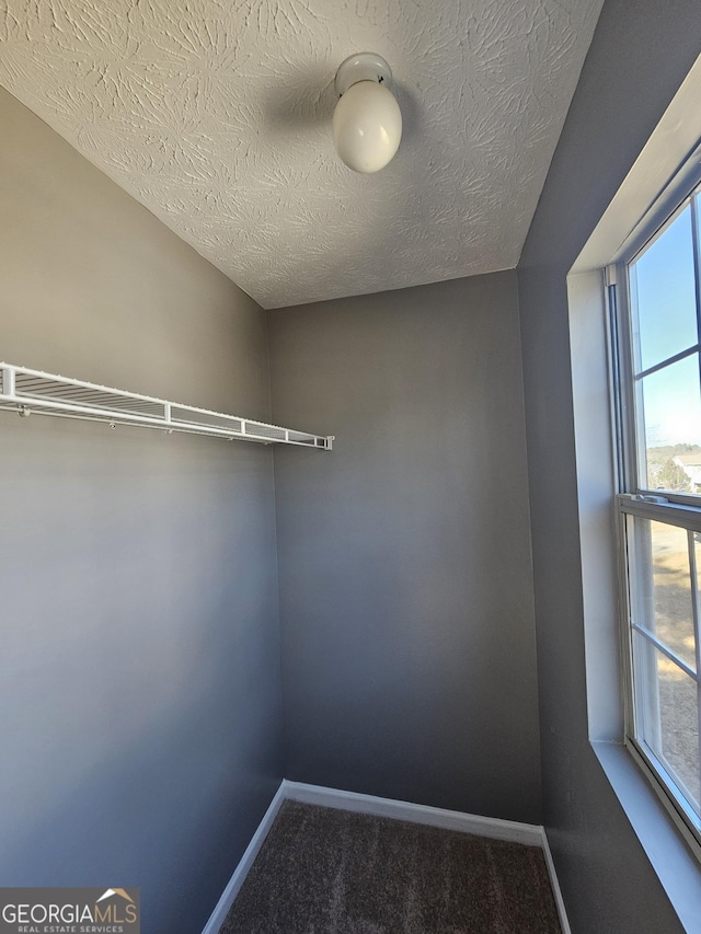 spacious closet featuring carpet flooring