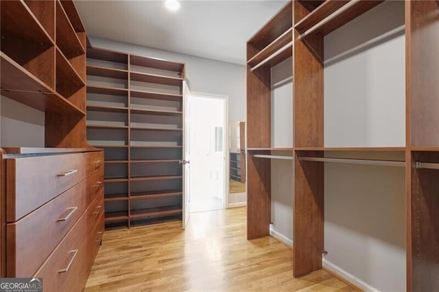 spacious closet featuring light wood-type flooring