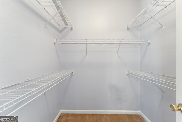 spacious closet with carpet flooring