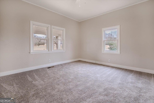 spare room with crown molding and carpet floors