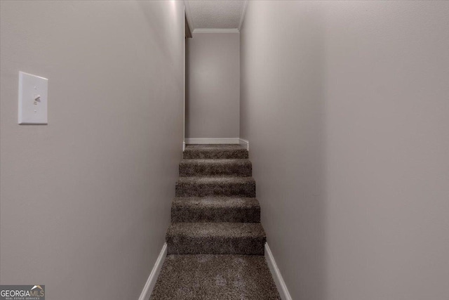 staircase featuring crown molding, a textured ceiling, and carpet