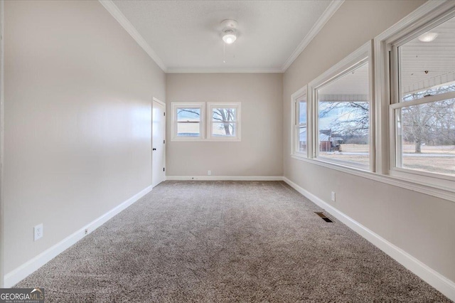 spare room with crown molding and carpet