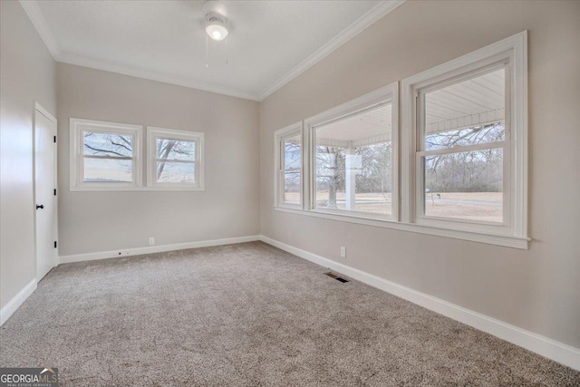 empty room with carpet floors and ornamental molding