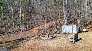 view of yard with a storage shed