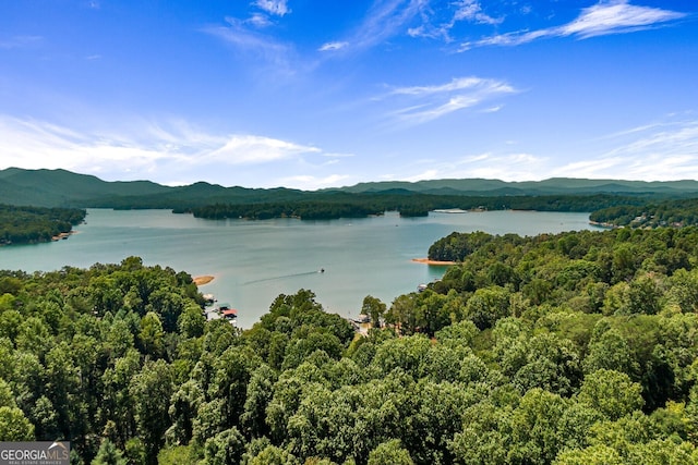 property view of water with a mountain view