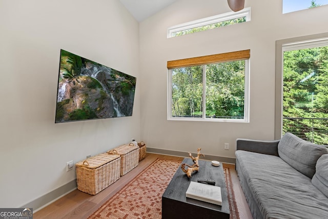 living room with plenty of natural light, hardwood / wood-style floors, and high vaulted ceiling