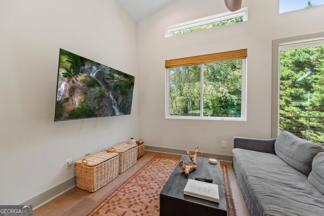 82 Circle Dr, Morganton, GA 30560 - living area featuring plenty of natural light, wood finished floors, and high vaulted ceiling