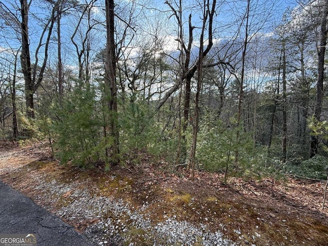 LOT103 Lancelot Loop, Clayton GA, 30525 land for sale