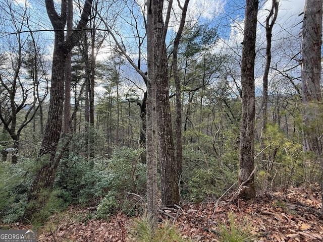 Listing photo 2 for LOT103 Lancelot Loop, Clayton GA 30525