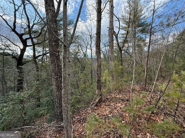 Listing photo 3 for LOT103 Lancelot Loop, Clayton GA 30525