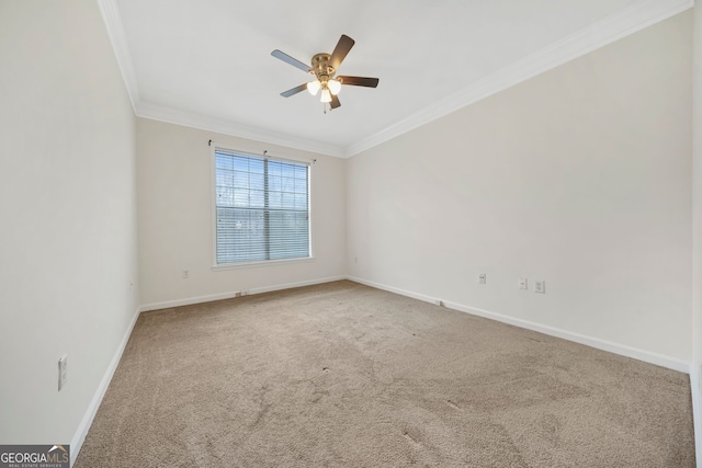 unfurnished room featuring ornamental molding, ceiling fan, and carpet