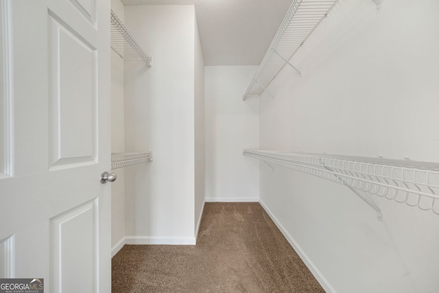 walk in closet featuring carpet